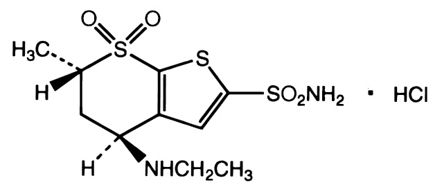 dorzo