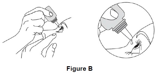 Fig-b