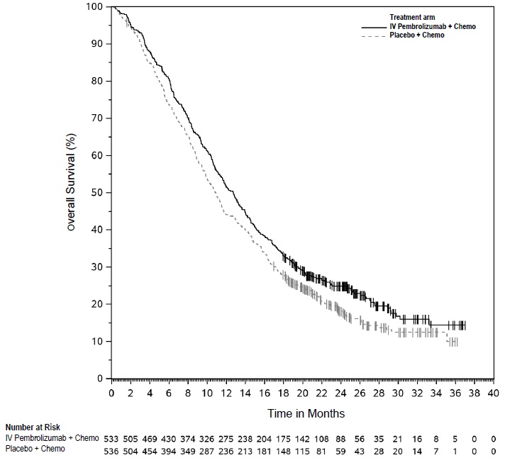 Figure 29