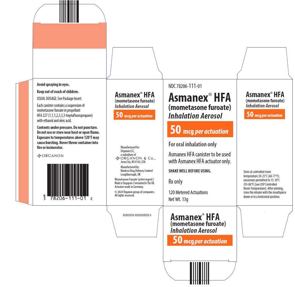 PRINCIPAL DISPLAY PANEL - 50 mcg Canister Carton