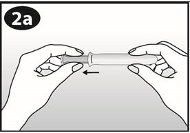 Figure 2a