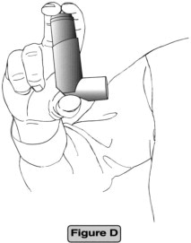 Figure D