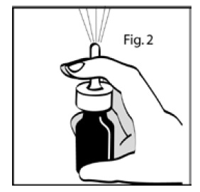 Figure2.jpg