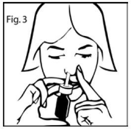 Figure3.jpg