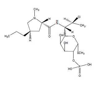 str-clinda