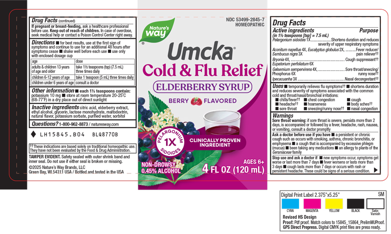 LH15845_B04_Umcka_ColdFluRelief_Syrup_LBL_4oz_FNL.jpg