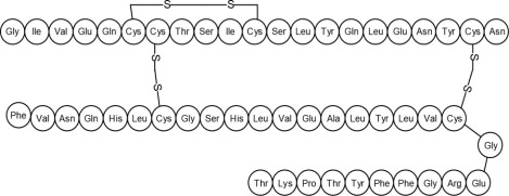 Primary Amino Acid Sequence  