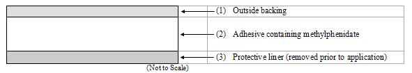 daytrana-figure-cross- section