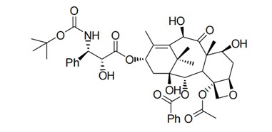 structure.jpg