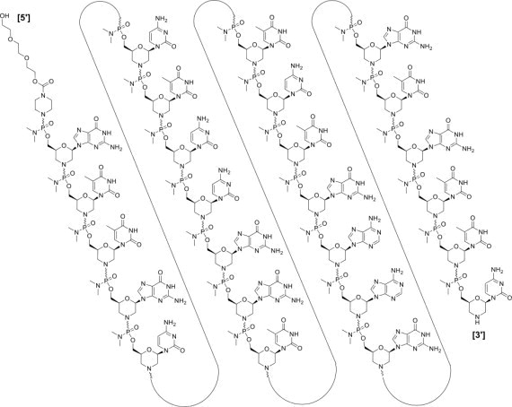 Structure of Golodirsen  