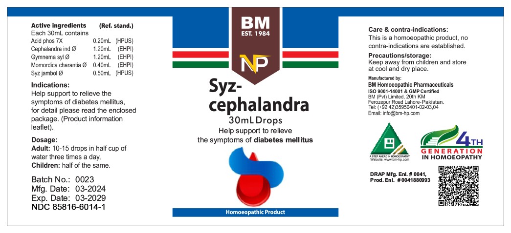 Syzcephalandra