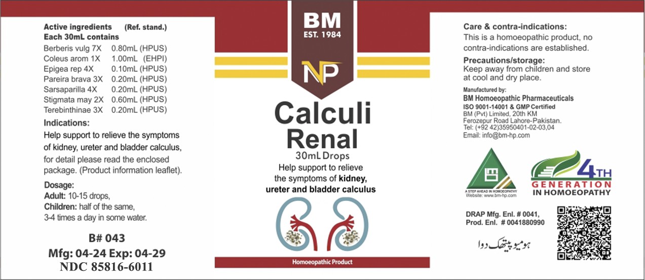 CALCULI RENAL