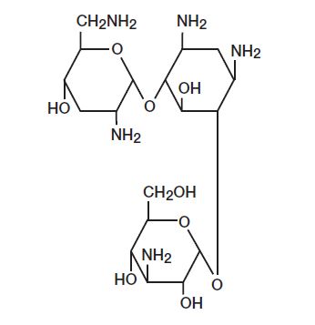 tobramycin