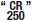 250