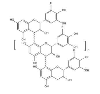 The following chemical structure for MYTESI (crofelemer) is delayed- release tablets is an anti-diarrheal, enteric-coated drug product for oral administration. It contains 125 mg of crofelemer, a botanical drug substance that is derived from the red latex of Croton lechleri Müll. Arg. Crofelemer is an oligomeric proanthocyanidin mixture primarily composed of (+)–catechin, (–)–epicatechin, (+)–gallocatechin, and (–)–epigallocatechin monomer units linked in random sequence, as represented below. The average degree of polymerization for the oligomers ranges between 5 and 7.5, as determined by phloroglucinol degradation.