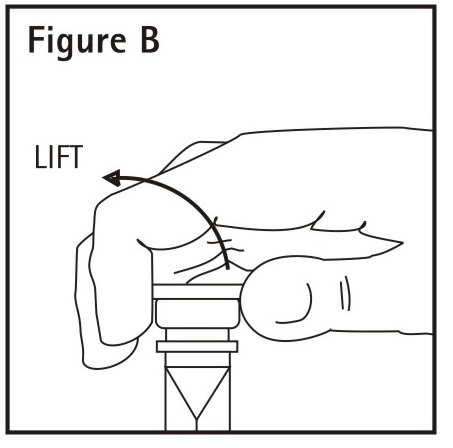 Figure B