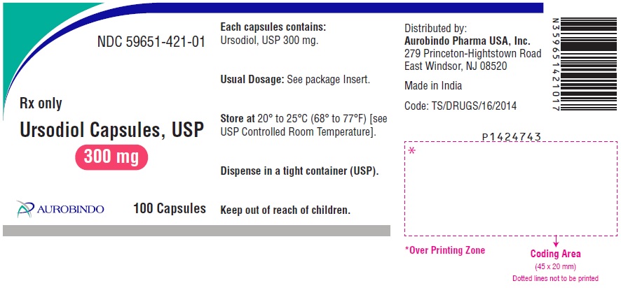 PACKAGE LABEL-PRINCIPAL DISPLAY PANEL - 300 mg (100 Capsules Bottle)