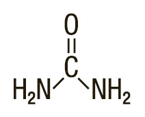 structure.jpg