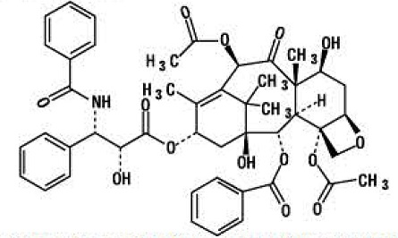paclitaxel-str