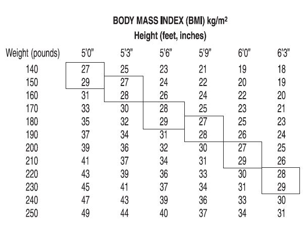 bmi index