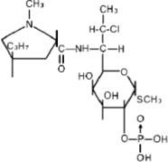Structural Formula  
