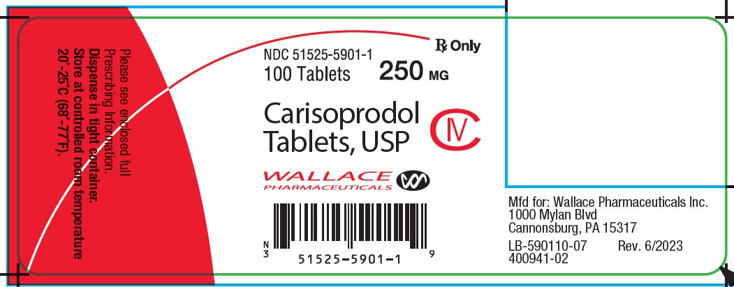 Carisoprodol Tablets 250 mg Bottle Label