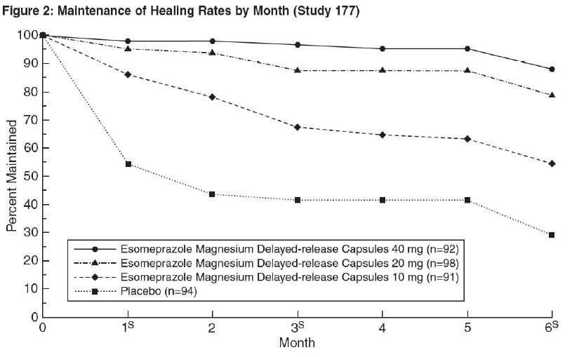 Figure 2: Maintenance of Healing Rates of EE in Adults by Month (Study 177)