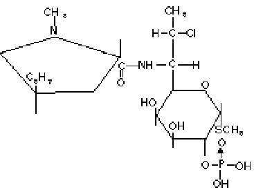 clindagel-01
