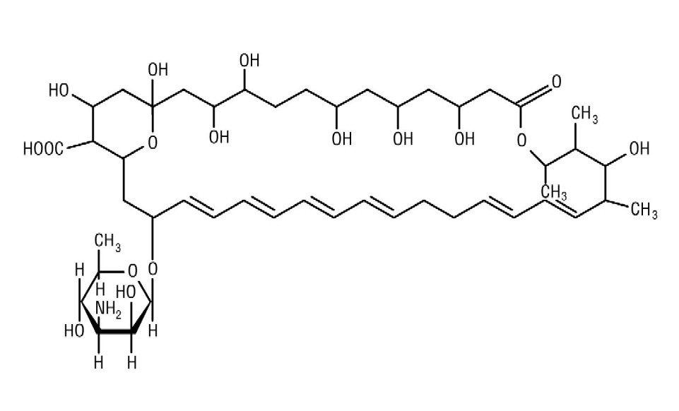 Structural formula for nystatin