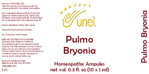 Pulmo Bryonia Ampules