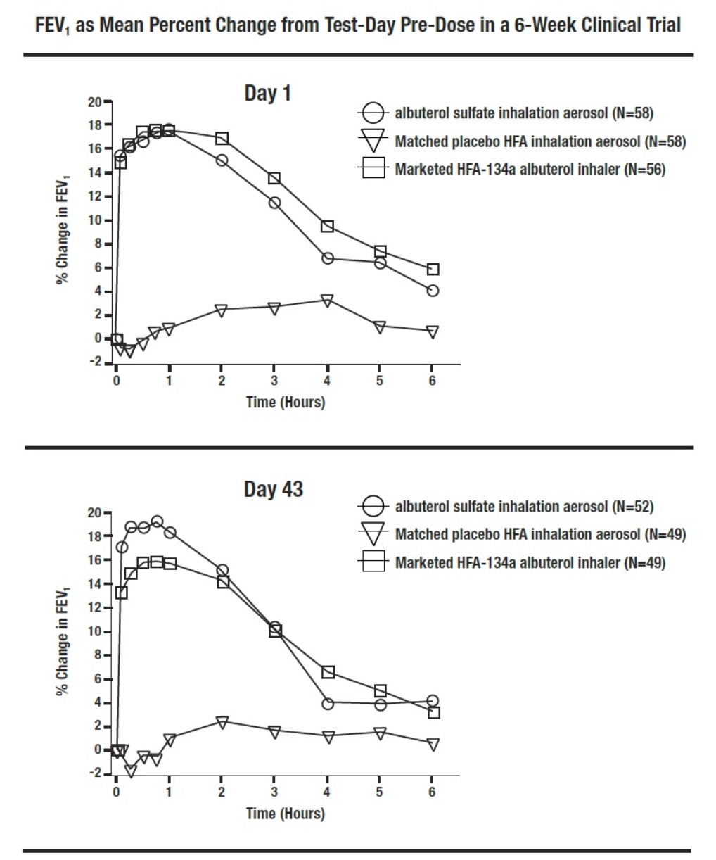 CLINICAL STUDIES