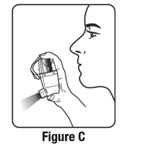 FIGURE C