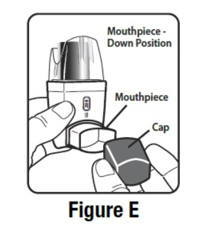 FIGURE E