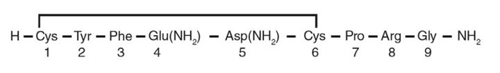 Vasopressin Structural Formula