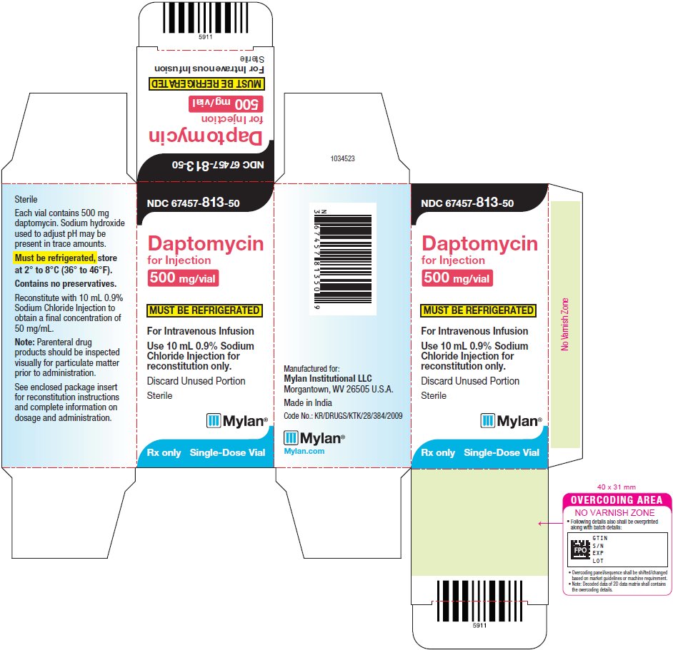 Daptomycin Carton Label 500 mg