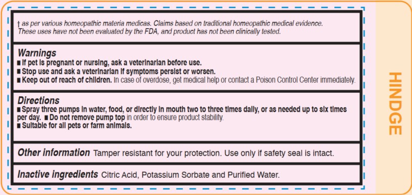 VSF Respitory Health 2.jpg