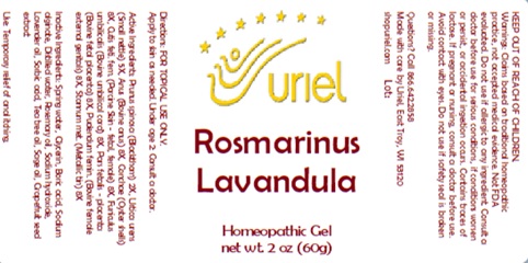 Rosmarinus Lavandula Gel