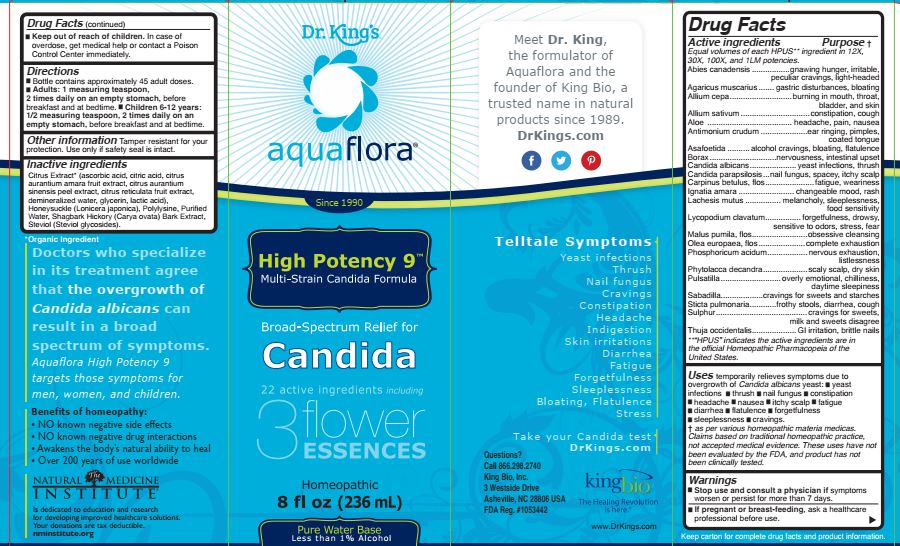 image description High Potency 9.jpg