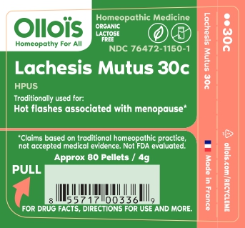 lachesis 30c p1