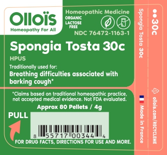 spongia 30c p1