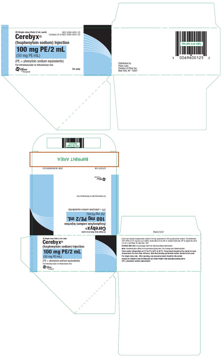PRINCIPAL DISPLAY PANEL - 2 mL Vial Carton