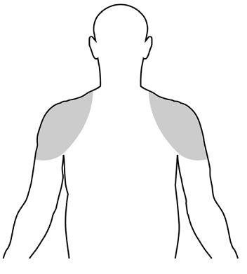 figure1