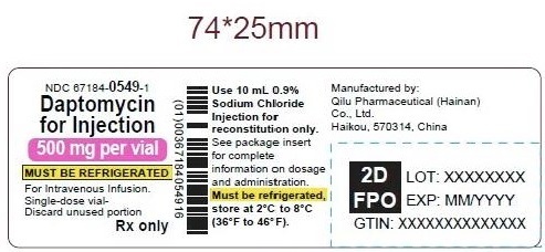 PRINCIPAL DISPLAY PANEL - 500 mg Vial