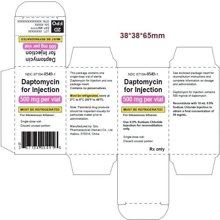 PRINCIPAL DISPLAY PANEL - 500 mg Carton