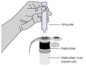 Figure C