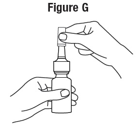 figure-g.jpg