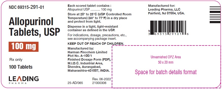 Allopurinol 100 mg 100